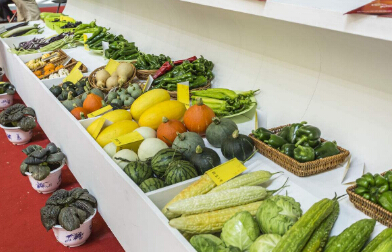 又一波關(guān)稅下調(diào)來襲食品進(jìn)口報關(guān)迎來新機(jī)遇